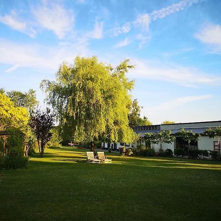 Gite Du Chateau D'Hardelot A Condette Exterior foto