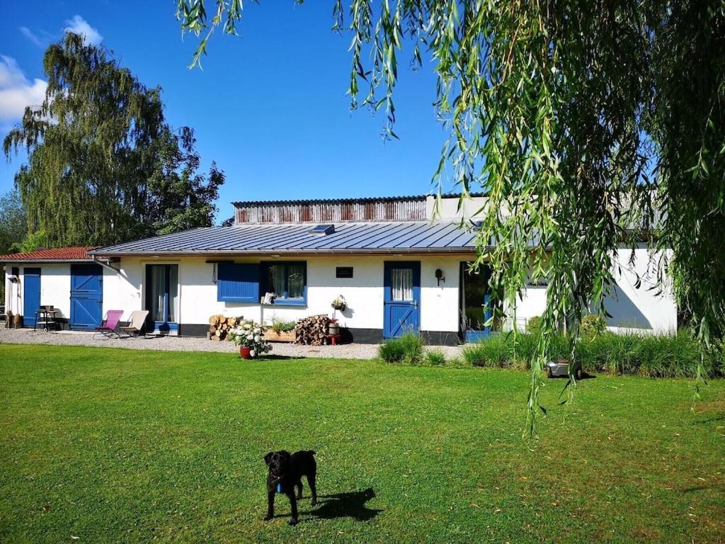 Gite Du Chateau D'Hardelot A Condette Exterior foto